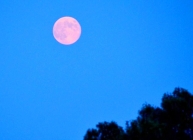Rare blue moon sighted yesterday